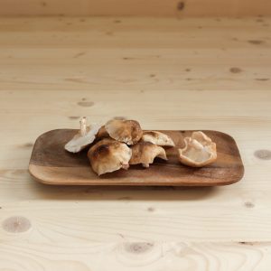 Shiitake freskoa 500g