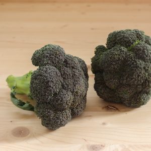 Brokolia kg