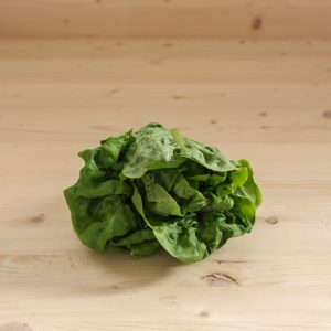 Kukulua (unitatea) Biziola baratzezainak