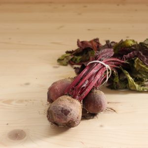 Erremolatxa sorta (Biziola baratzezainak)