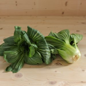 Pak Choi aza Kg (Biziola baratzezainak)