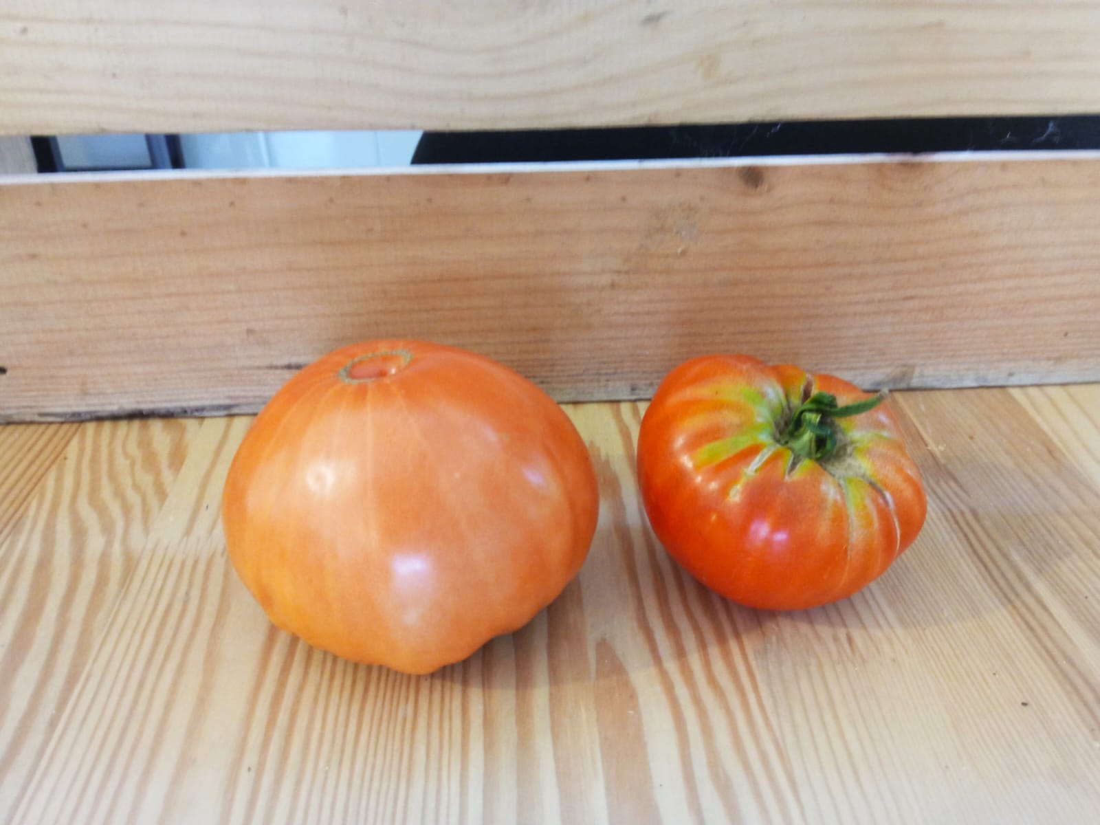 Tomatea (Mendigorria) Kg