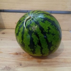 Sandia Kg